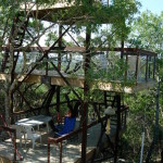 treehouse 21
